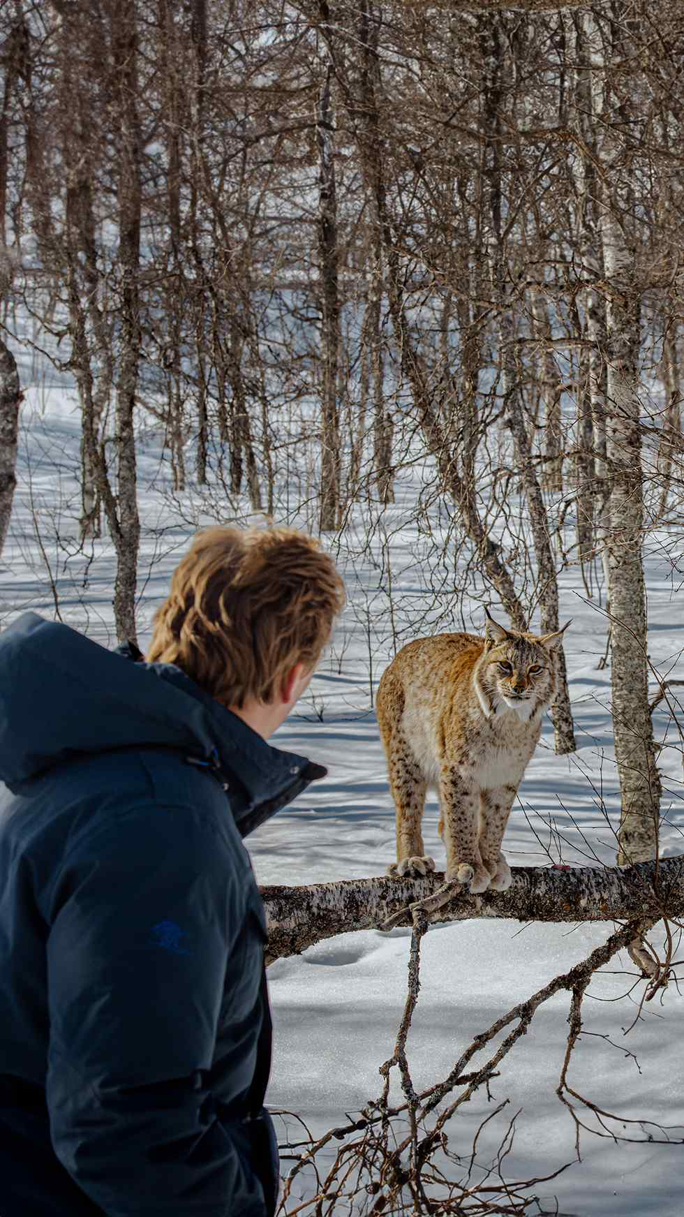 Freek met Lynx