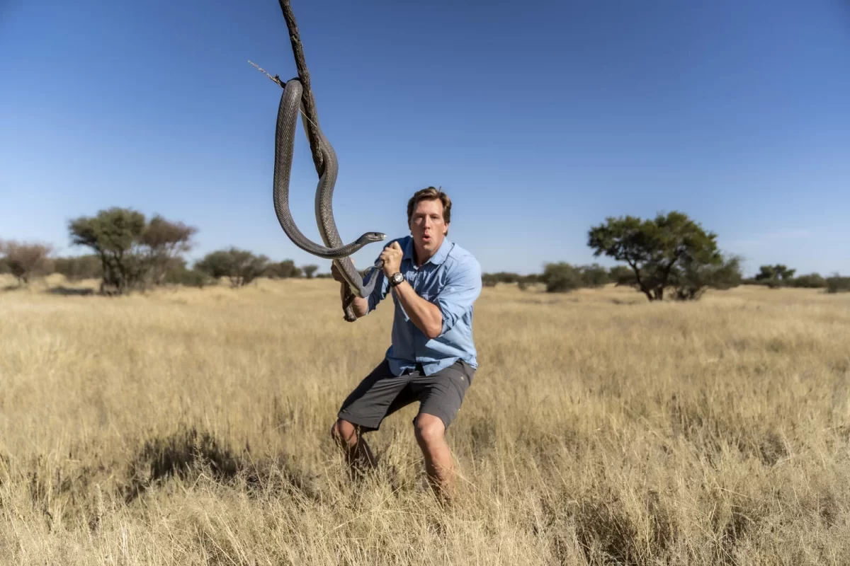 Freek met zwarte mamba