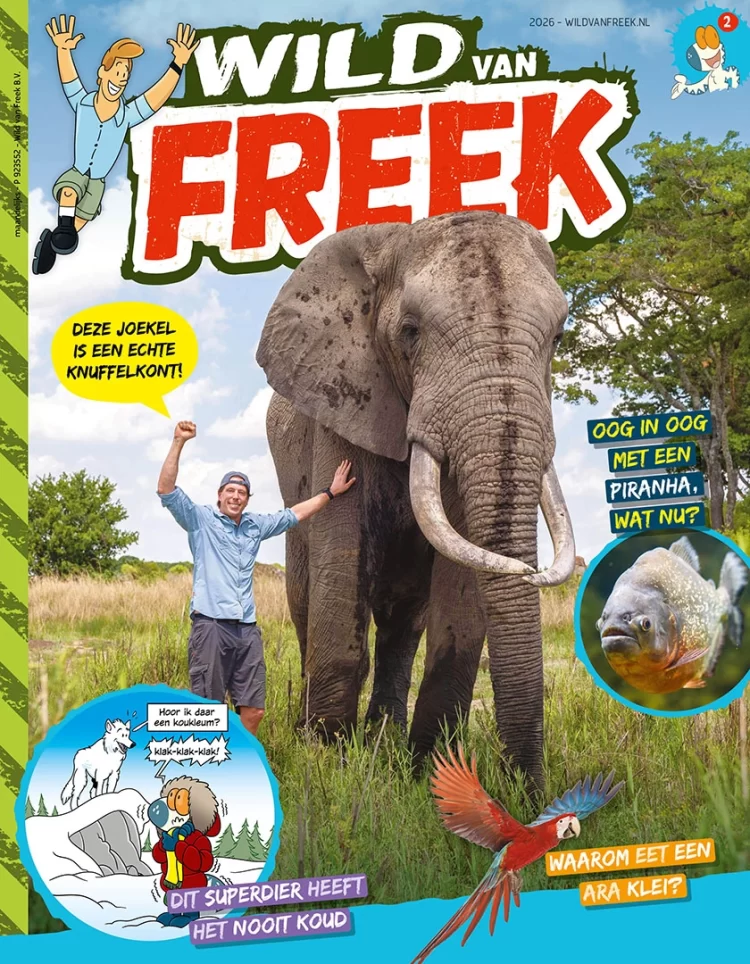 Wild van Freek