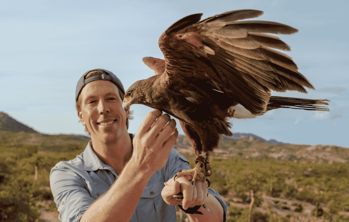 Freek Met Woestijnbuizerd
